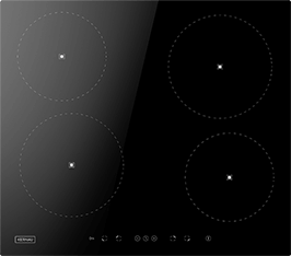 Induktionsfeld Reparatur Unna